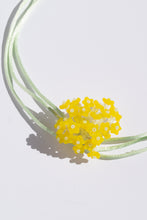 Load image into Gallery viewer, Le Bouquet Choker Nº5
