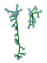 Load image into Gallery viewer, Off Bloom