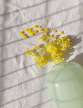 Load image into Gallery viewer, Le Bouquet Nº23