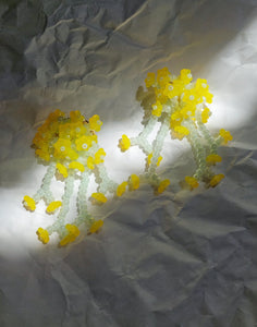 Le Bouquet Nº23