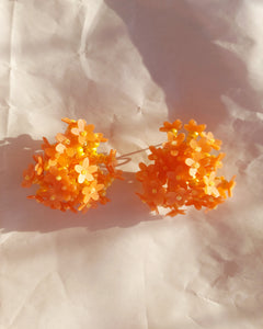 Le Bouquet Nº19