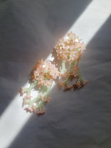 Le Bouquet Nº31