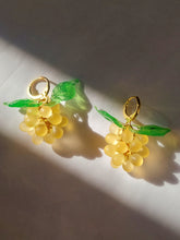 Load image into Gallery viewer, Sun-kissed Berries